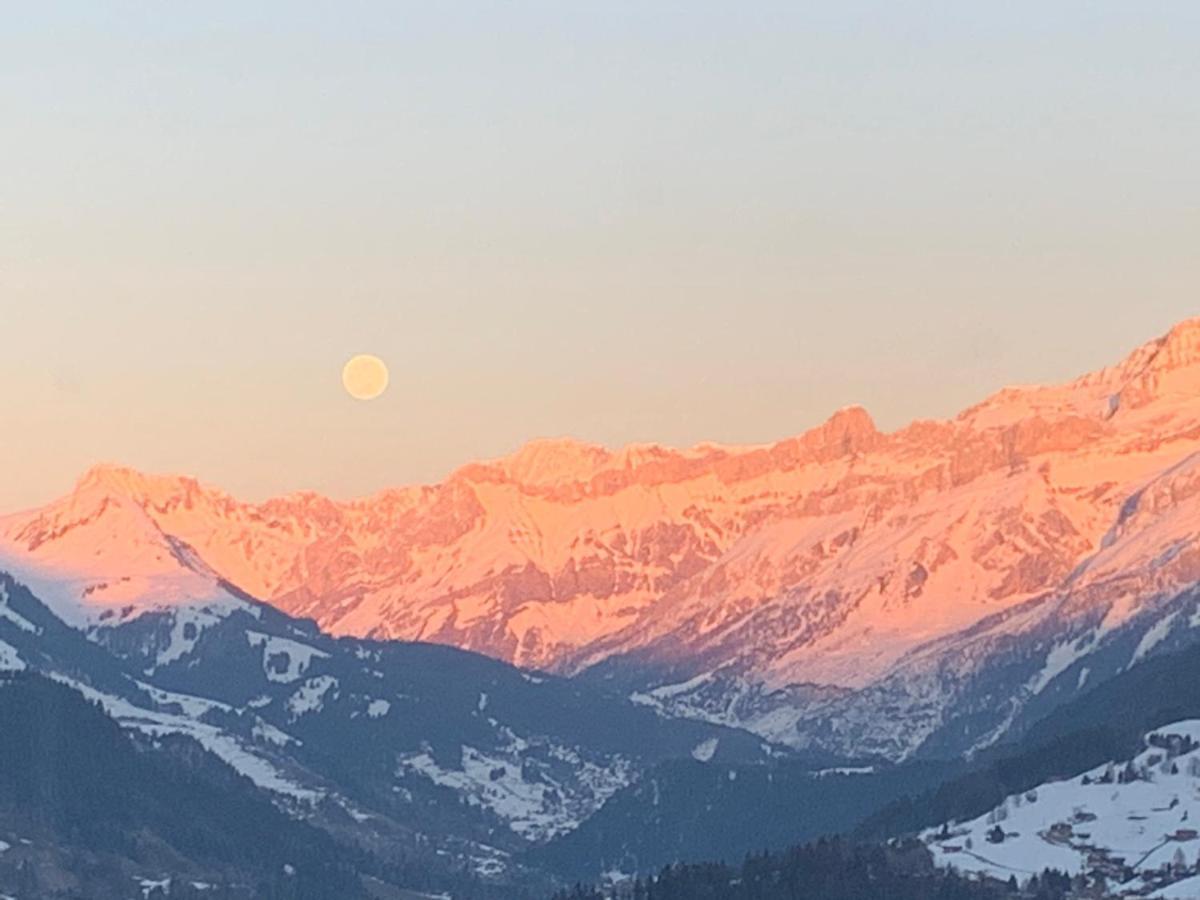 Chalet Plein Soleil Apartment Leysin Luaran gambar